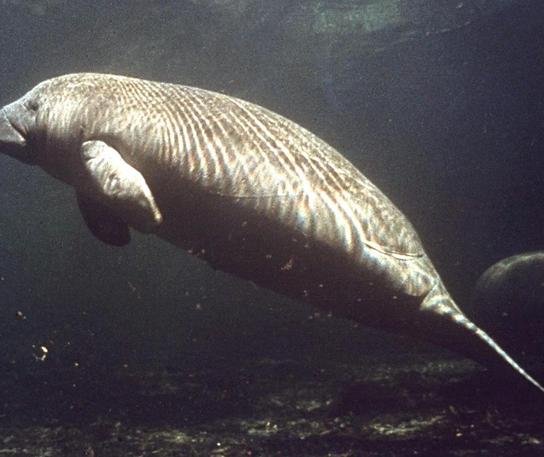 What’s Up With This Water?